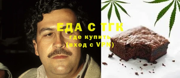 индика Осинники