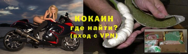 крисы Пестово