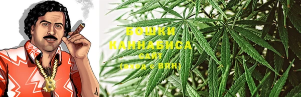 крисы Пестово