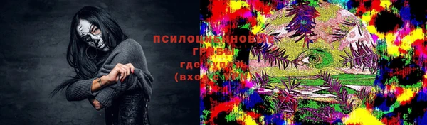 эйфоретик Пересвет