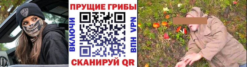 сколько стоит Ейск мега как зайти мориарти клад Галлюциногенные грибы прущие грибы