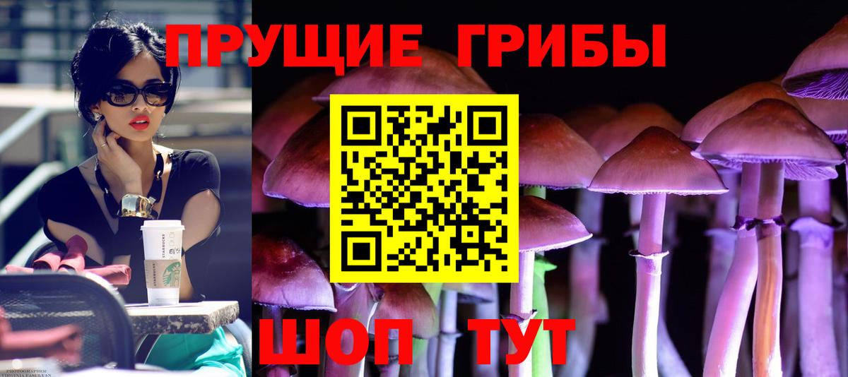 Ейск  Псилоцибиновые грибы MAGIC MUSHROOMS  Вход с VPN  Галлюциногенные грибы мухоморы 
